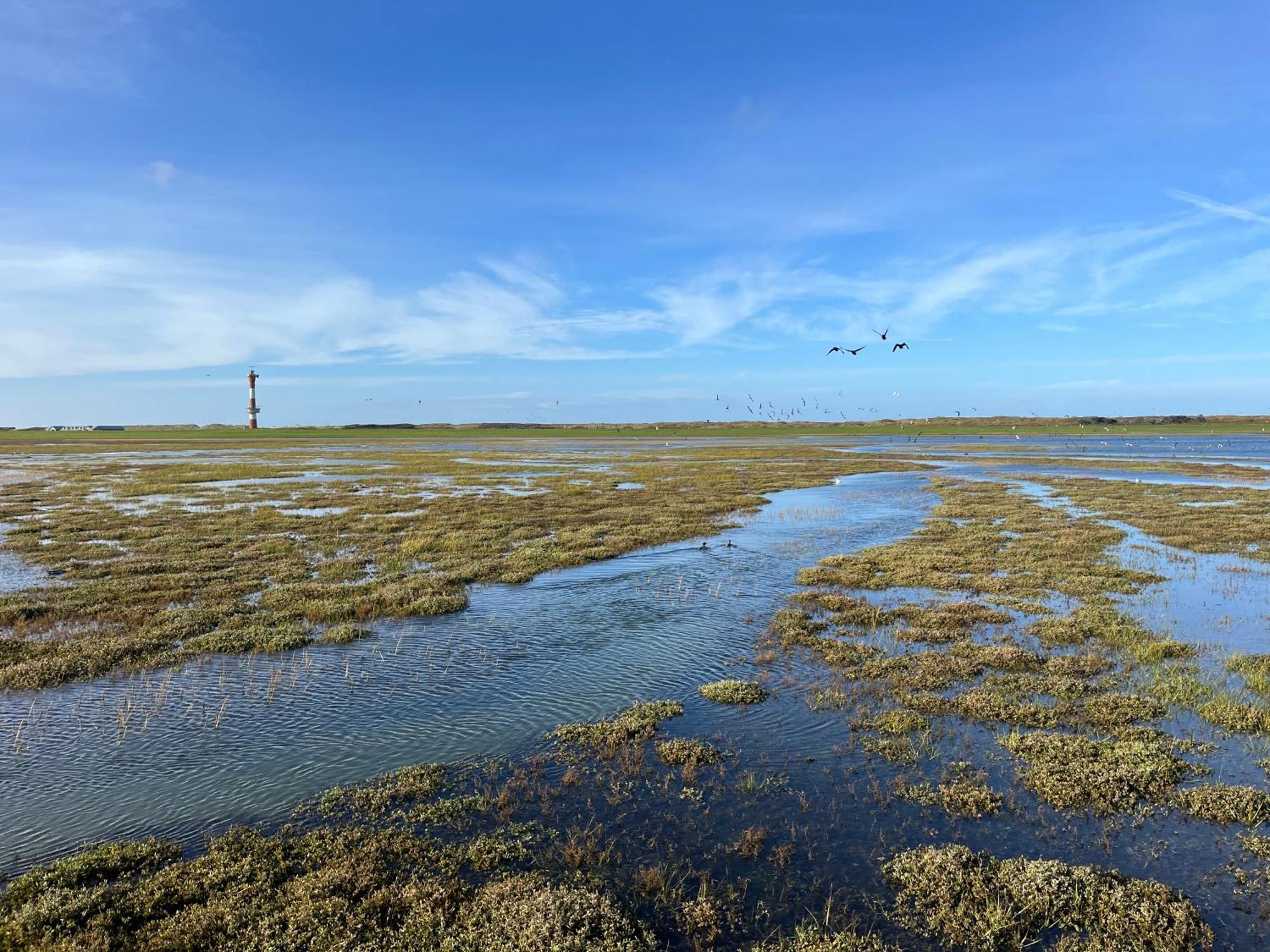 Mit Meeresblick Apartment Wangerooge